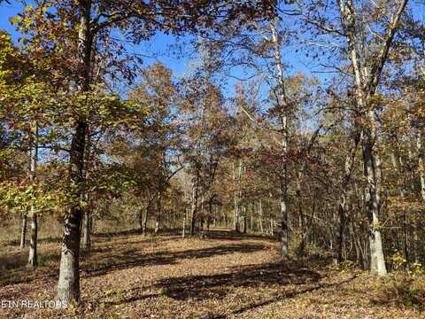 201 Old Ridge Rd, Kingston, TN 37763