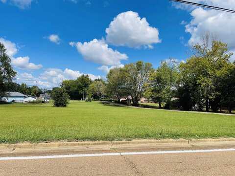 LOT 16 PINHOOK, Savannah, TN 38372