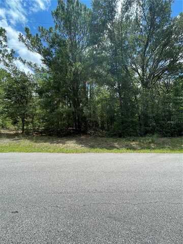 Tbd SW 59TH LANE, DUNNELLON, FL 34431