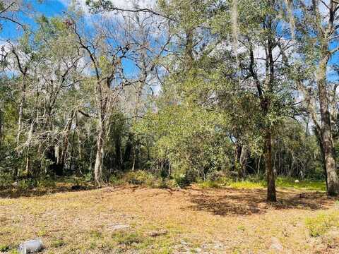 298 S COUNTRY CLUB ROAD, LAKE MARY, FL 32746