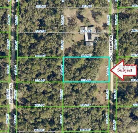 7343 CASTLEBERRY DRIVE, WEBSTER, FL 33597