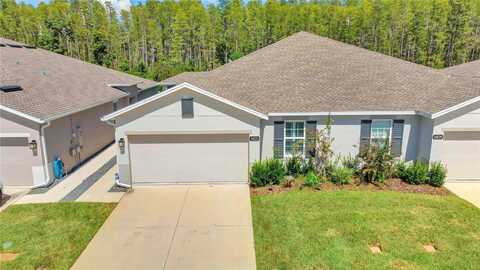 18173 TURNING LEAF CIRCLE, LAND O LAKES, FL 34638