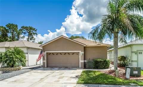 8048 SANGUINELLI ROAD, LAND O LAKES, FL 34637