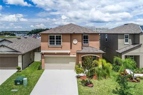 17893 CLOUDLESS BLISS DRIVE, LUTZ, FL 33558