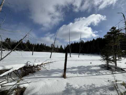 Tbd Hayno Bog, Rangeley, ME 04970