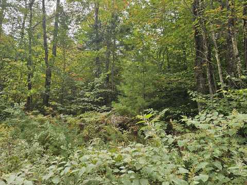 R19lot 6-6 Tuell Hill Road, Sumner, ME 04292