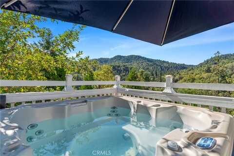 29450 Piney Lane, Cedar Glen, CA 92321