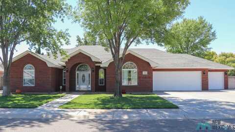 6 Jenny Lane, Roswell, NM 88201