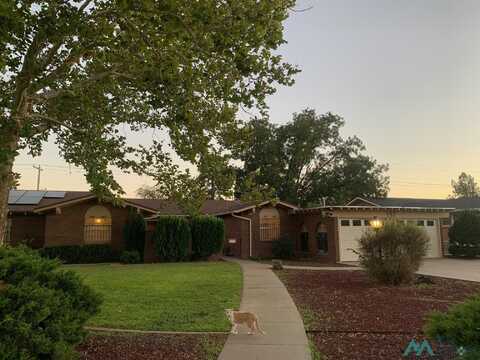 157 Yucca Drive, Portales, NM 88130