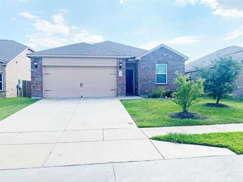 1219 Arizona, Princeton, TX 75407