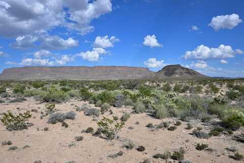 4625 Rippy Road, Terlingua, TX 79852