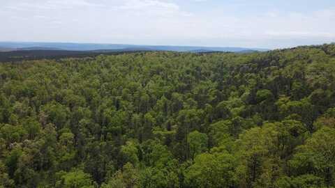 Tract 18 BLACK FORK TRAIL, Nashoba, OK 74558