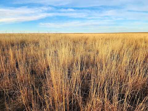 TBD County Road N, Eads, CO 81036