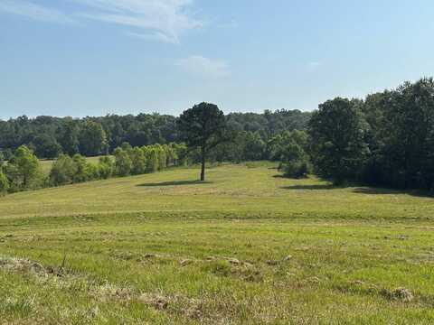 6609 S. Glenwood Road, Brantley, AL 36009