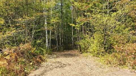 Lot 2 County Road F, Athelstane, WI 54104