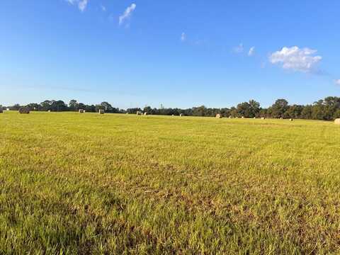 0 County Road 50, Luverne, AL 36049