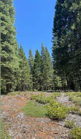 105 Fox Head Drive, Lake Almanor, CA 96137