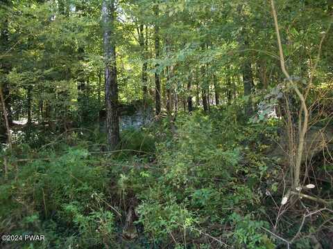 Lot 3 Gilpin Road, Newfoundland, PA 18445