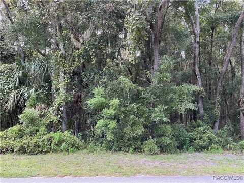 12 S Bauer Road, Lecanto, FL 34461