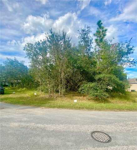 6 Elder Court W, Out Of Area, FL 34446