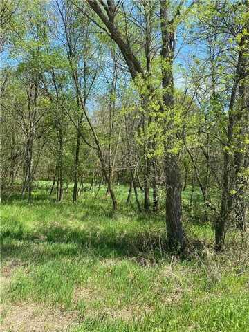 16xxx 4th Avenue E, South Haven, MN 55382