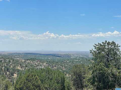 Lot 10 Rachel Road, Silver City, NM 88061