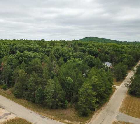 Lot 46 Fern Lane, Wisconsin Dells, WI 53965