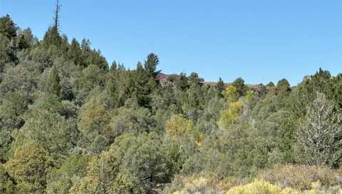 Tbd Highway 285, Tres Piedras, NM 87577