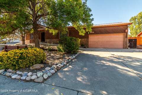 5009 HARMONY Drive, Farmington, NM 87402