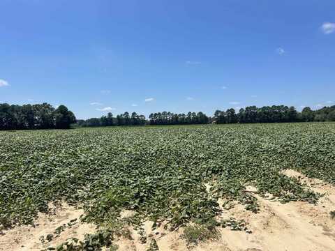 Lot 2 Brock Road, Dunn, NC 28334