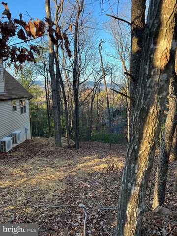 23 MALLARD DR, BASYE, VA 22810