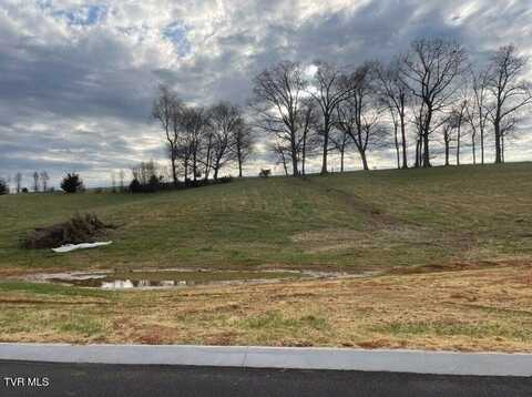 Lot 14 Cattlemans Trail, Jonesborough, TN 37659