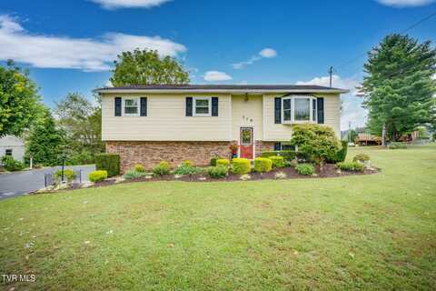 118 Smith Court, Gray, TN 37615