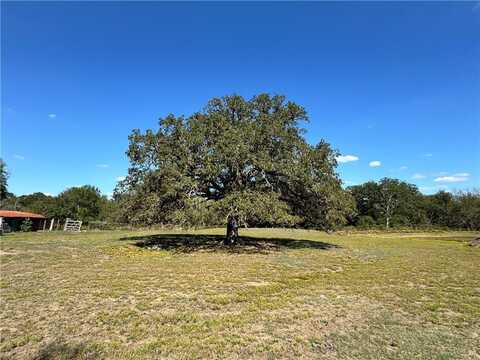 207 S Hedwig Street, Riesel, TX 76682