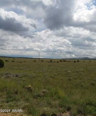 8 County Road 5203, Concho, AZ 85924