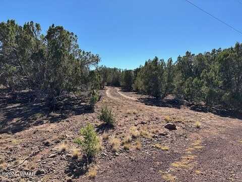 14 County Road, Concho, AZ 85924