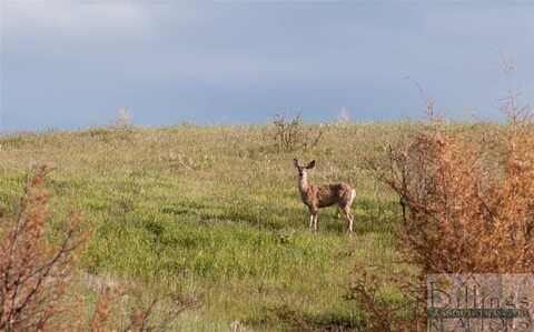 Lot 3 Pryor Creek Road, Huntley, MT 59037