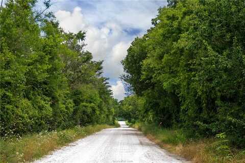 Tbd County Road 109, Iola, TX 77861