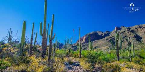 12710 N Sonoran Preserve Boulevard Lot 24, Marana, AZ 85658