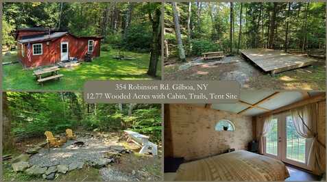 354 Robinson Road, Conesville, NY 12076