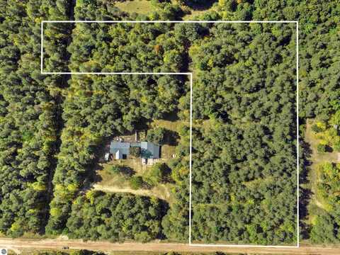 134 PINE TREE LANE, BENZIE, MI 49617