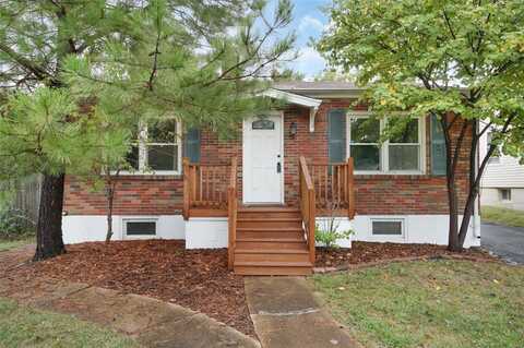 1013 Dolores Avenue, Saint Louis, MO 63132