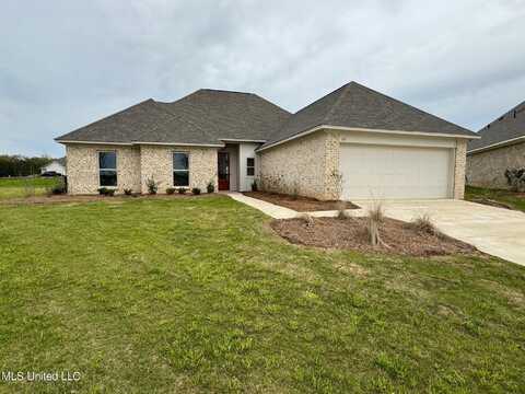 307 Birch Cove, Canton, MS 39046