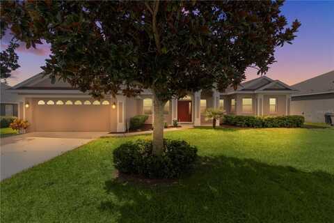 36300 GRAND ISLAND OAKS CIRCLE, GRAND ISLAND, FL 32735