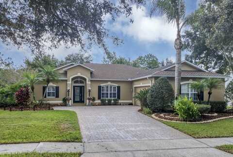 6240 TREMAYNE DRIVE, MOUNT DORA, FL 32757