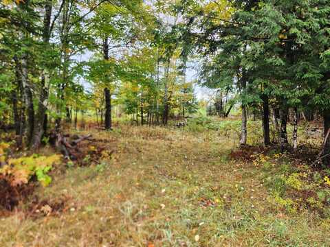 Lot 46 Lane Road, Ripley, ME 04930