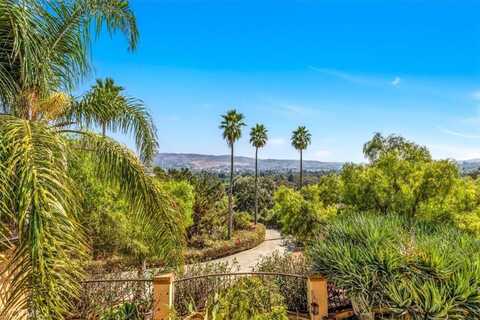 31301 Aguacate Road, San Juan Capistrano, CA 92675