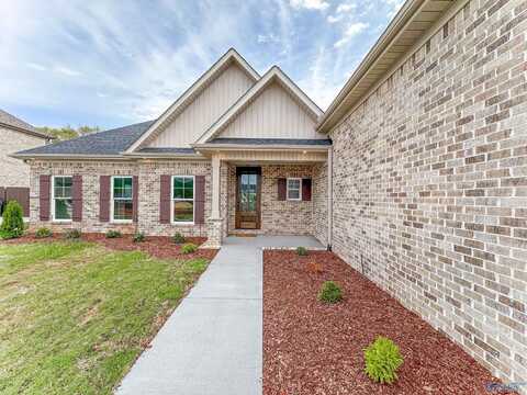 223 Oakland View Drive, Brownsboro, AL 35741