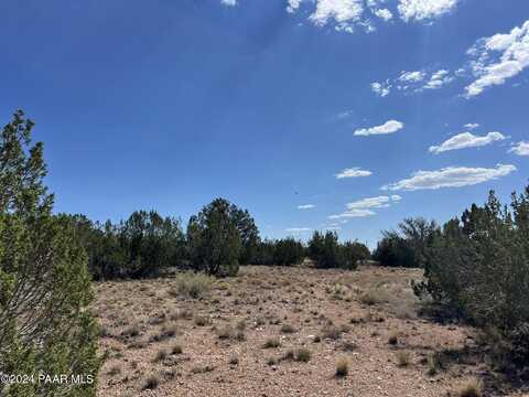 27425 W El Oro Drive, Seligman, AZ 86337