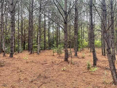 0 Grant Road, Shottsville, AL 35593